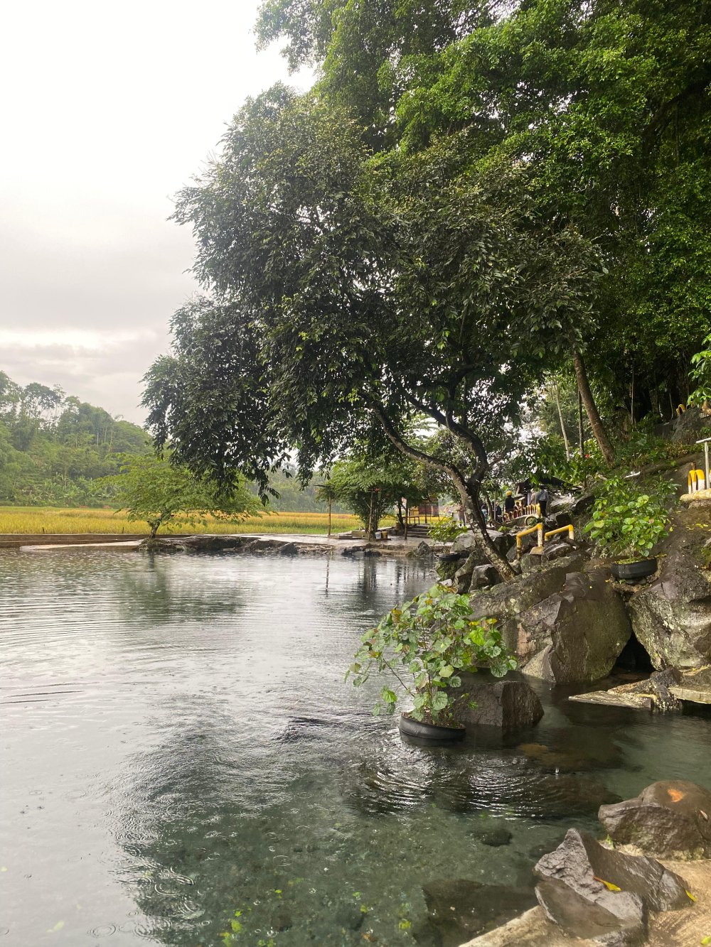 Menikmati Pesona Mata Air Cikandung di Sumedang