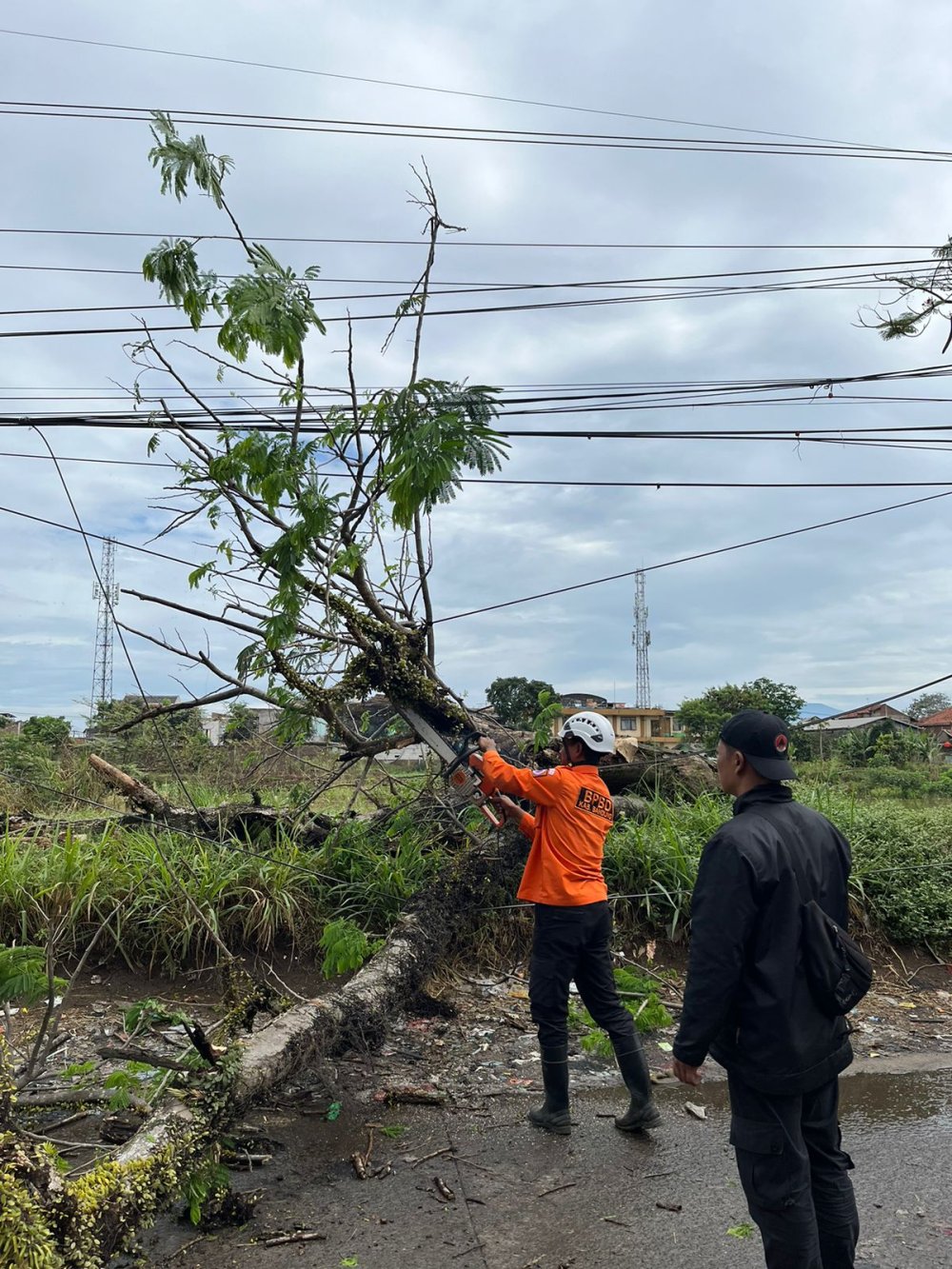 Waspada dan Siap Siaga, BPBD Ingatkan Potensi Musim Pancaroba Terjadinya Turun Hujan disertai Angin Kencang