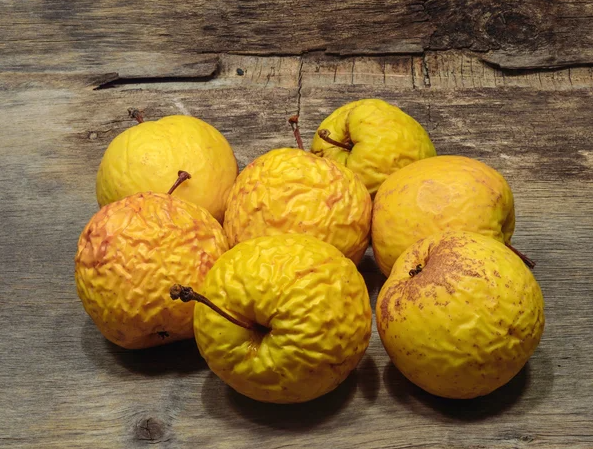 Potensi Besar di Balik Buah "Imperfect": Mengurangi Limbah Pangan dan Mendukung Keberlanjutan