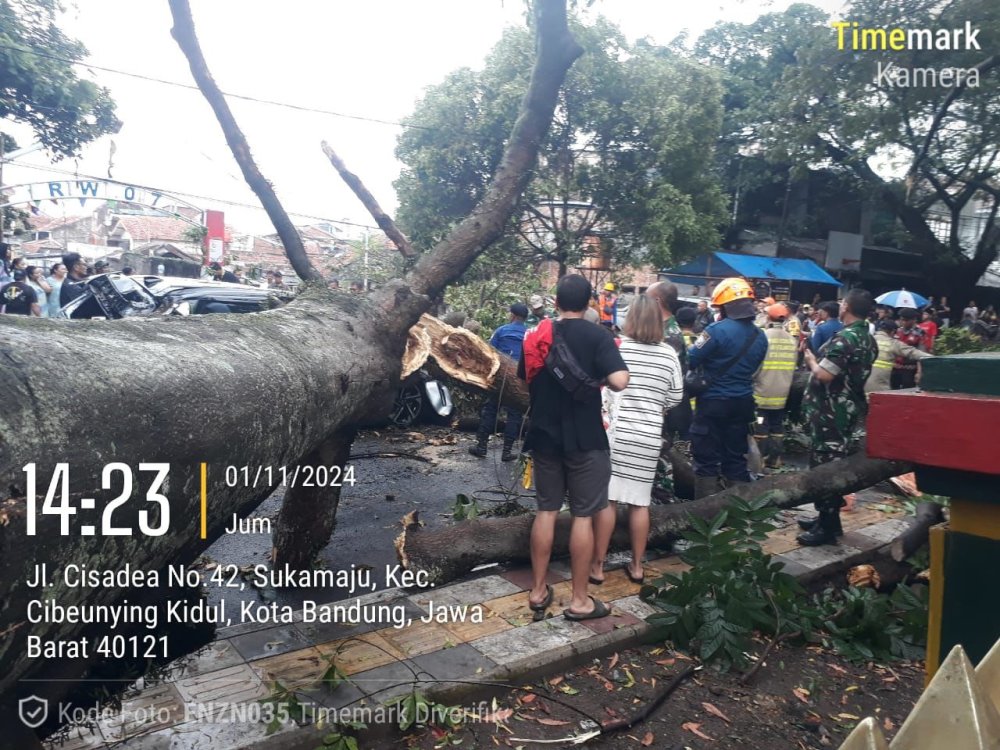Pohon Tumbang di Cibeunying Kidul Timbulkan Kerusakan dan Gangguan Lalu Lintas