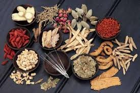 Penyuluhan dan Penggolongan Obat Tradisional di Indonesia