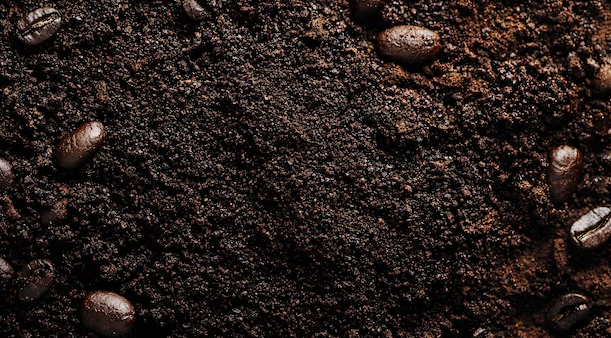 Jangan Buang Ampas Kopi, Ini 7 Manfaatnya untuk Dapur dan Rumah