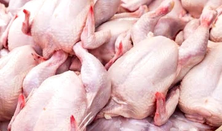 Teknik Penyimpanan Ayam yang Menjaga Rasa dan Tetap Segar