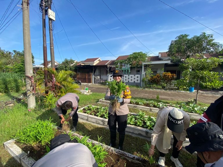 Kapolsek Sedati Panen Sayur Untuk Tingkatkan Ketahanan Pangan Lokal