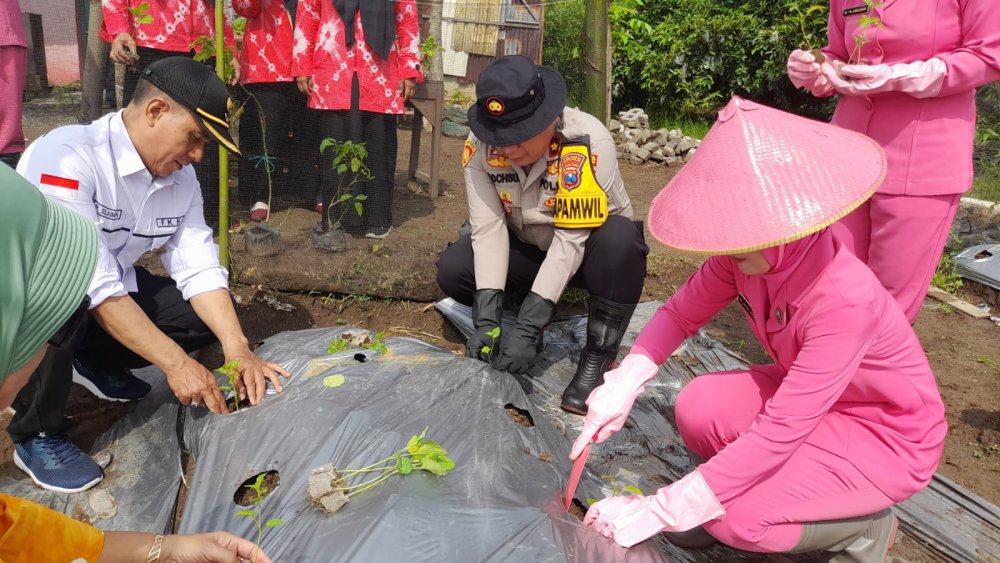 Ketahanan Pangan: Polsek Taman Tanam Bibit Sayuran di Lahan Non Produktif