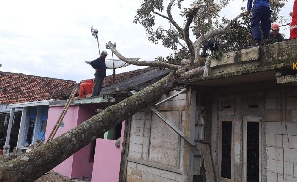 Angin Kencang Sebabkan Pohon Tumbang di Sejumlah Titik di Sukabumi