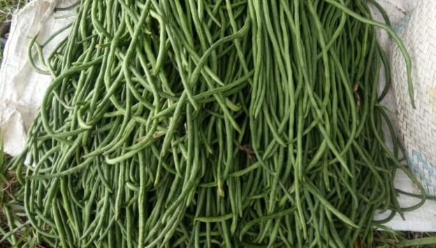 Tips Memasak Kacang Panjang Agar Tetap Segar