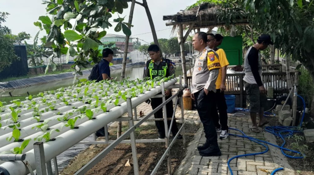 Wakapolresta Sidoarjo Tinjau Pelaksanaan Ketahanan Pangan di Desa Ponokawan Krian