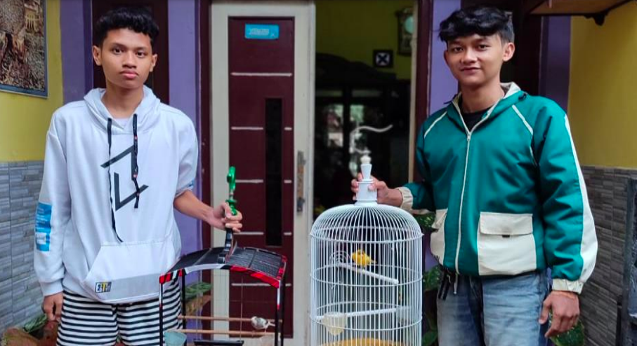 Menggali Potensi Bisnis: Peternak Burung Kenari Raih Keuntungan  di Pasar Lokal