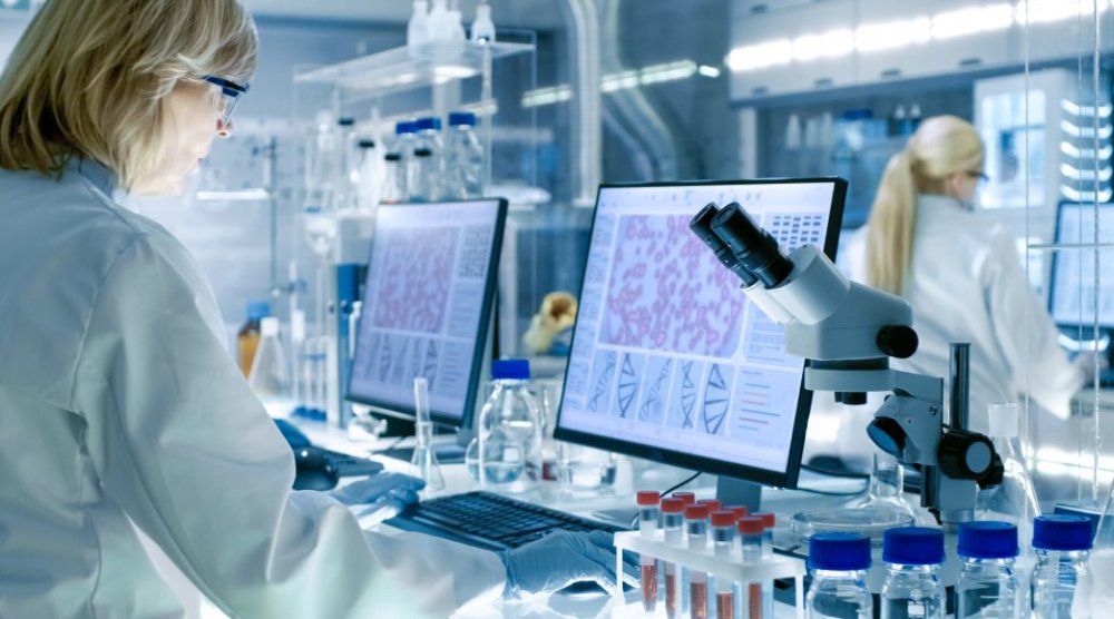 Studi Terobosan Menyoroti Peran INDIBA Proionic 448kHz dalam Proliferasi Sel Punca
