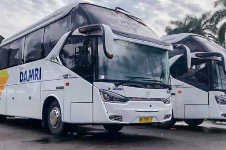 Tiket Mudik Lebaran 2025 Bus DAMRI Sudah Dibuka! Ini Cara Pesannya