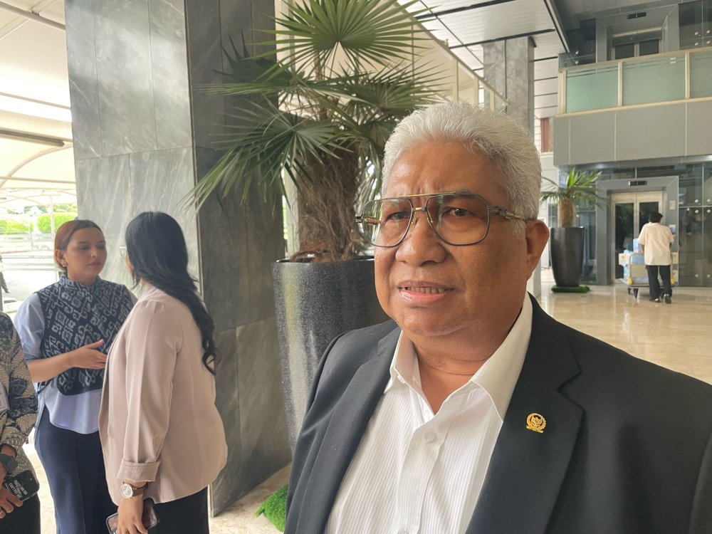 Ali Mazi : Tindak Tegas KKB yang Menyerang 10 Orang Guru dan Nakes di Papua