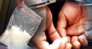 Polres Subang Gagalkan Peredaran Narkoba, 25 Paket Sabu Berhasil Diamankan