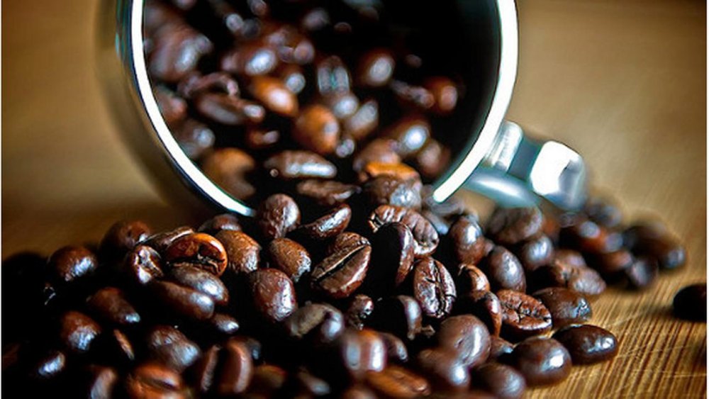 Produksi Kopi Arabika Kabupaten Bandung Mencapai 8.567 Ton di 2024