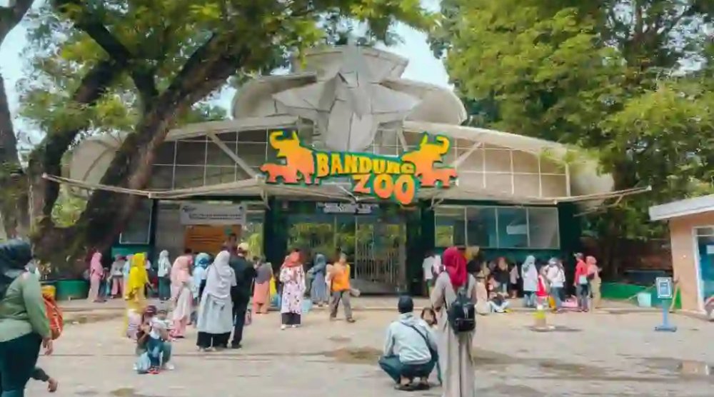 Kebun Binatang Bandung Zoo Terapkan Kebijakan Baru: Pengunjung Dilarang 'Botram'