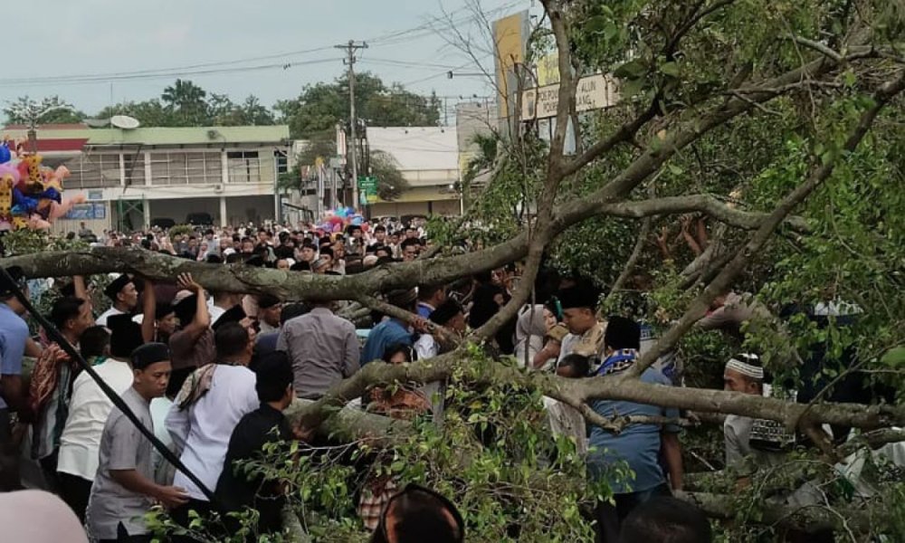 Jumlah Korban Tewas Akibat Pohon Tumbang di Pemalang Bertambah Menjadi Tiga Orang