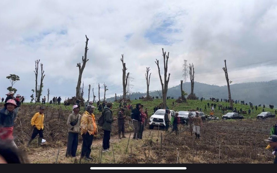 Belasan Hektare Kebun Teh Dirusak, DPR Minta Polisi Usut Dalang Utama