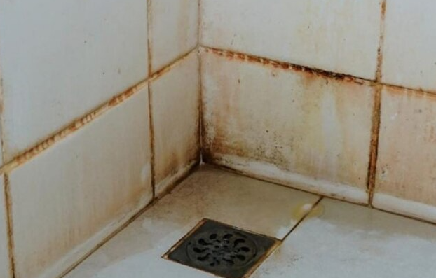 Kembalikan Kilau Kamar Mandi: 3 Bahan Ampuh Usir Noda Kuning