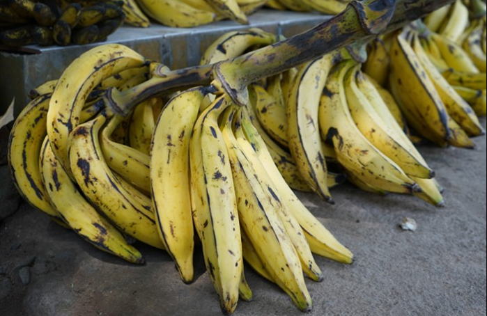 Dari Pisang Tanduk sampai Raja, Ini Panduan Memilih Pisang Sesuai Olahan