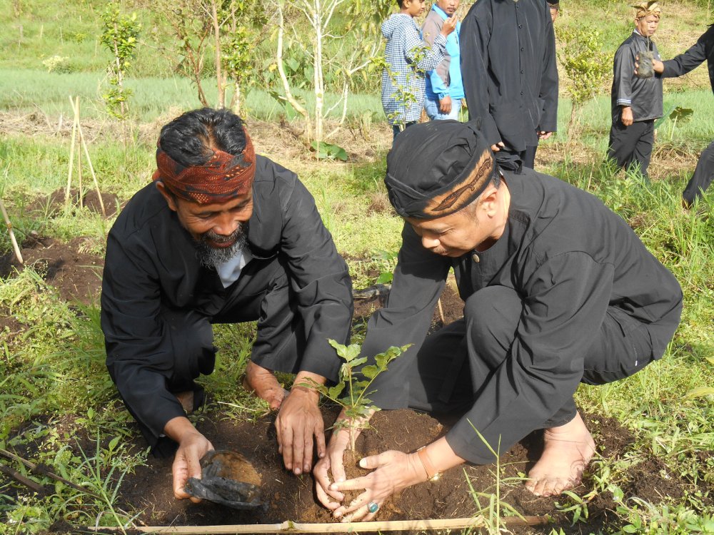 Wisata Alam Kamojang Kecamatan Ibun Tawarkan Keanekaragaman Flora dan Fauna