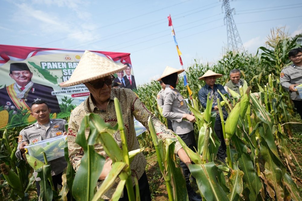 Kota Sukabumi Optimis Bisa Berkontribusi dalam Kemandirian Pangan Nasional