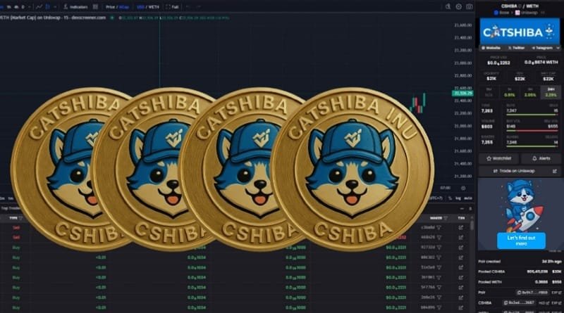 DEXSCREENER: CatShiba (CSHIBA) Tunjukkan Aksi Unik di Pasar Kripto