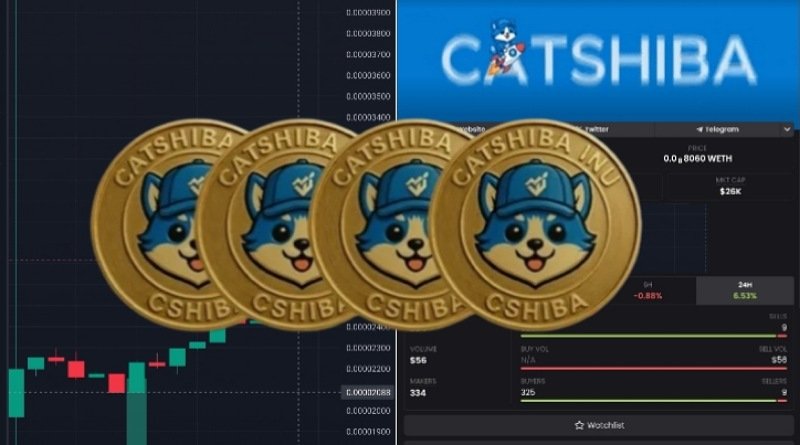 Likuiditas CSHIBA/WETH Naik Jadi $25.000, Market Cap dan FDV Juga Melonjak