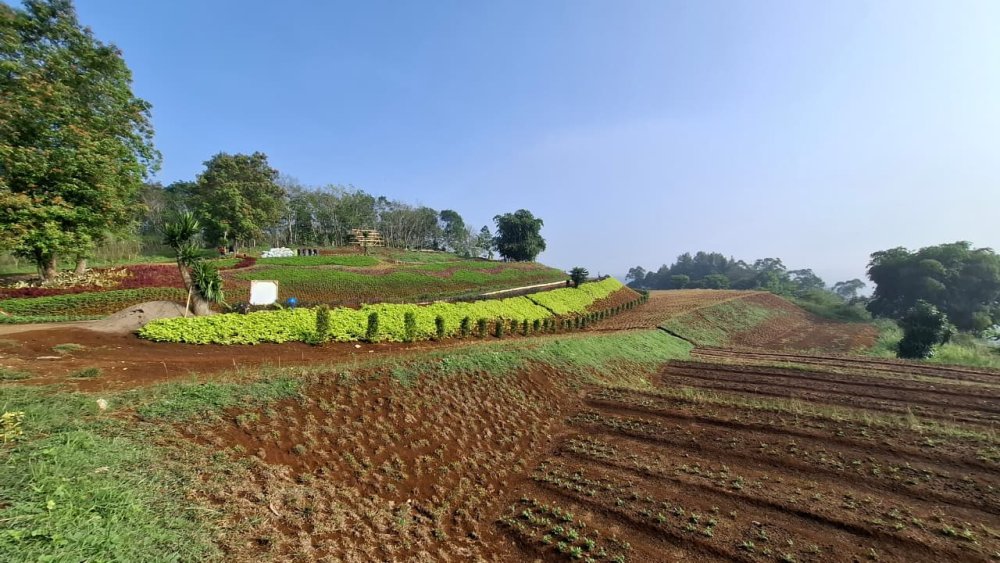 IPB Tekankan Soal Konservasi dalam Pengembangan Kawasan Agrowisata Panenjoan Sukabumi