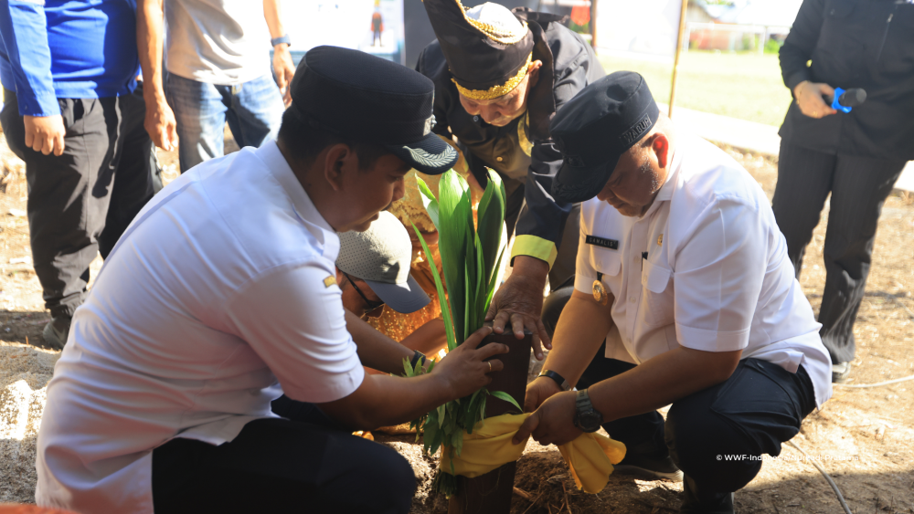 Transformasi Derawan: TPS3R “Rupiah” Wujudkan Wisata Berkelanjutan