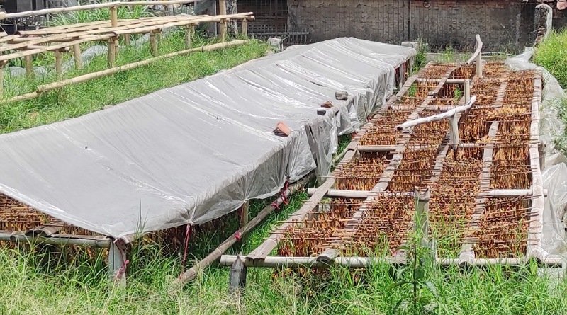 Harga Anjlok, Bako Garut Kini Dijual Galabagan