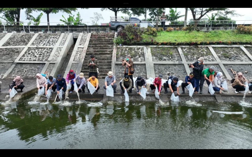 Dukung Program MBG dan KDKMP, Dispakan Tebar Ribuan Benih Ikan