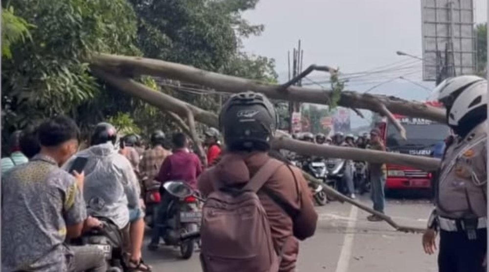 Puting Beliung Terjang Baleendah, Pohon Tumbang Hambat Lalu Lintas di Jalan Terusan Bojongsoang