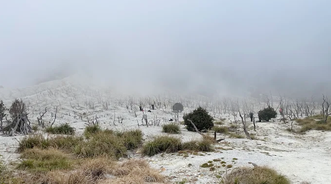 Papandayan, Dari Letusan Menuju Pesona Tak Pernah Padam