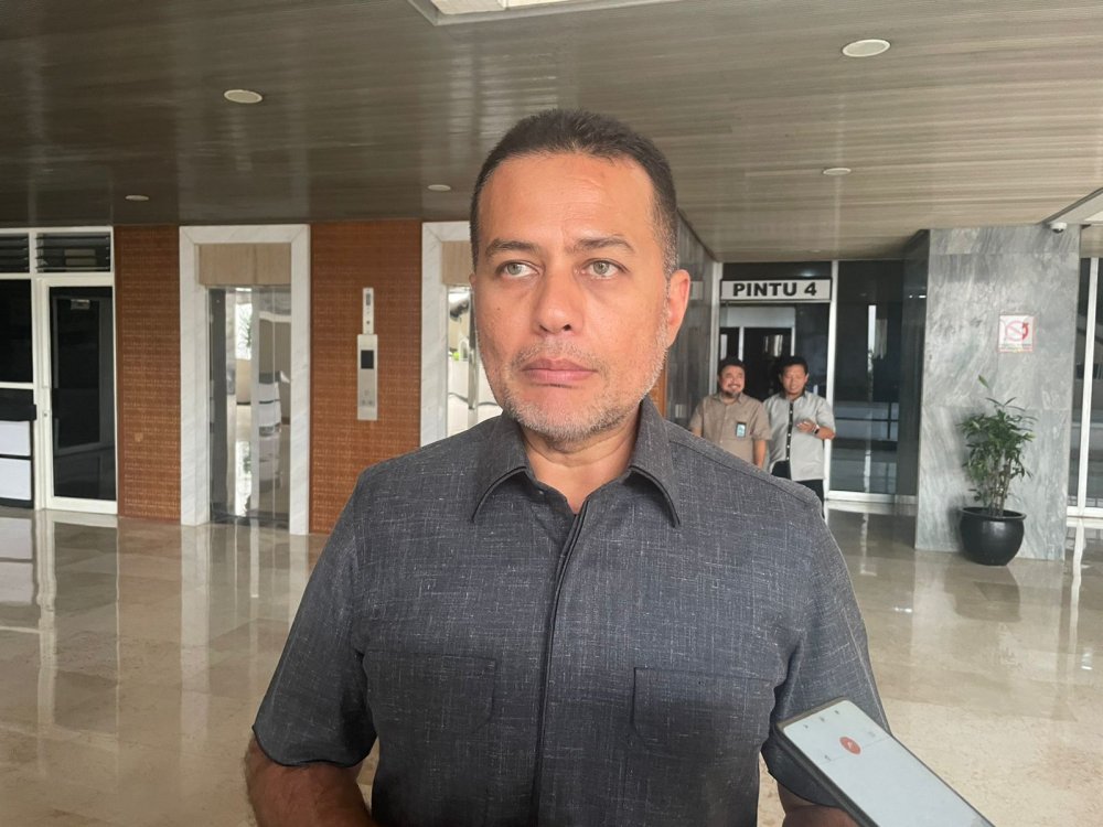 Ijeck Sebut DPR RI akan Tindak Lanjuti Aspirasi Pendamping Desa Sumut