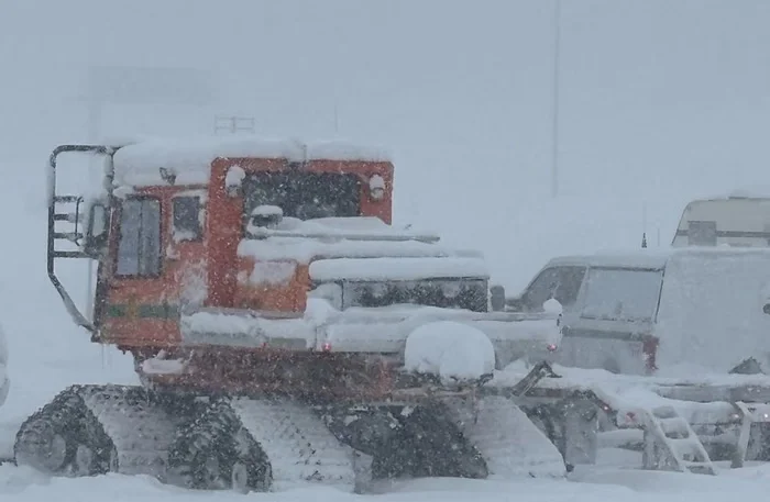 Delapan Pemain Ski Tewas Tertimbun Longsoran Salju di Lake Tahoe, Operasi Evakuasi Terkendala Cuaca Ekstrem