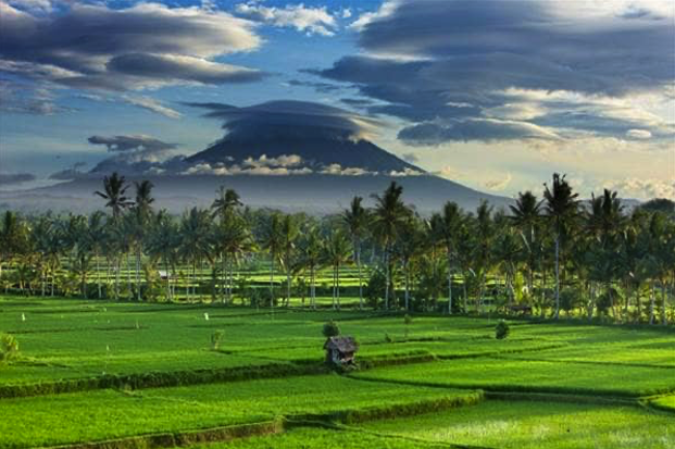 Mendunia! Ini 4 Desa Wisata Indonesia yang Diakui Berkelas Internasional