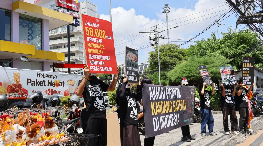 “Penjara di Balik Menu”, Aktivis Desak McDonald's Beralih ke Telur Cage-Free
