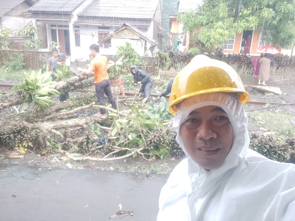 Pohon Tumbang di Jalur Kereta Gandasoli-Sukabumi, Perjalanan KA Sempat Terganggu