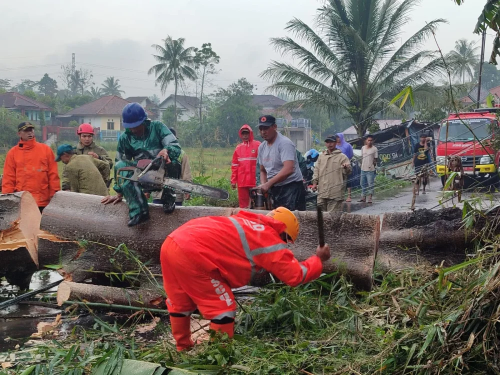 Pohon Tumbang Tutup Jalan di Kebonpedes Sukabumi