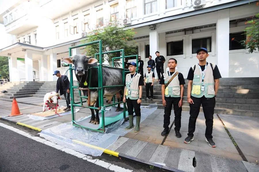 Pemkot Bandung Kerahkan 184 Petugas, Pastikan Hewan Kurban Sehat hingga Hari Tasyrik