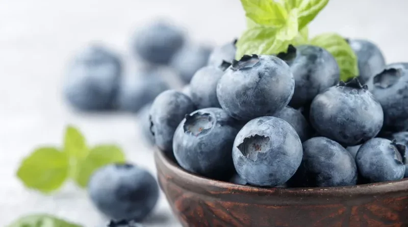 Studi Ungkap Manfaat Blueberry untuk Kesehatan Tulang