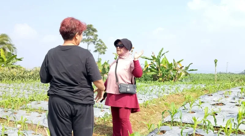 Di Balik Kesuksesan Bisnis Penginapan, Wiwiek Temukan Kecintaan pada Pertanian