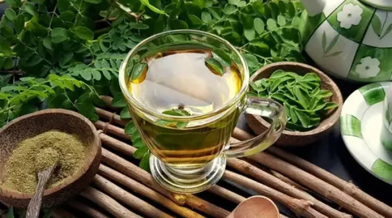 5 Manfaat Air Rebusan Daun Kelor untuk Jantung dan Otak