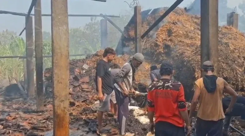 Gudang Gula Merah di Kudus Terbakar, 4 Ton Gula Ludes