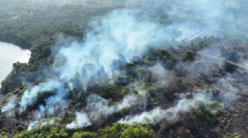 Kabut Asap Karhutla Kalimantan Memburuk, 591 Sekolah di Sarawak Malaysia Ditutup