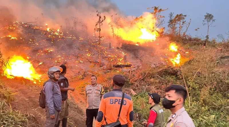 Api Melalap Lahan Perhutani dan Milik Warga di Sukabumi