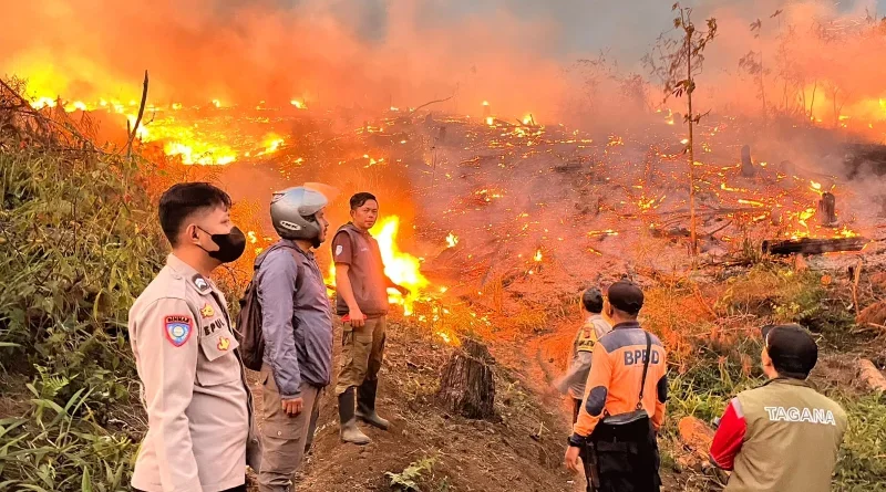 21 Kejadian Karhutla di Sukabumi, 30 Hektare Lahan Terdampak
