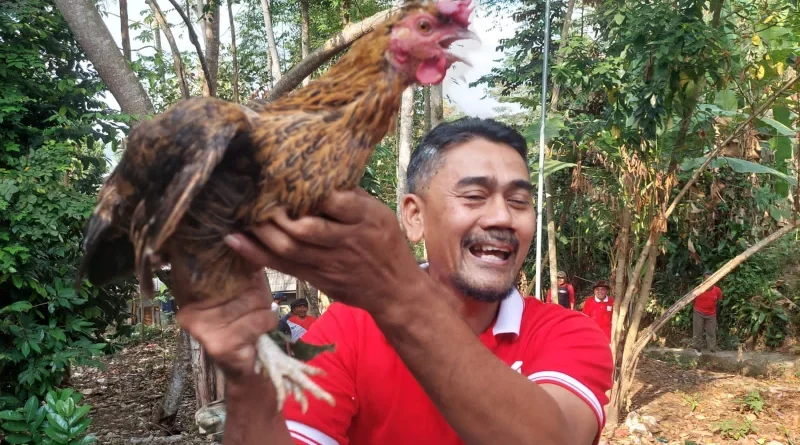 Unik! Warga Cibodas Sukabumi Meriahkan HUT RI dengan Lomba Tangkap Ayam