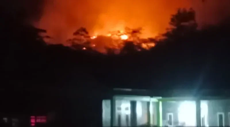Api Melalap Lahan di Pabuaran Sukabumi