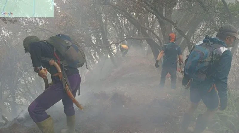 Kebakaran Gunung Gede Padam, Pendakian Ditutup hingga 11 Agustus